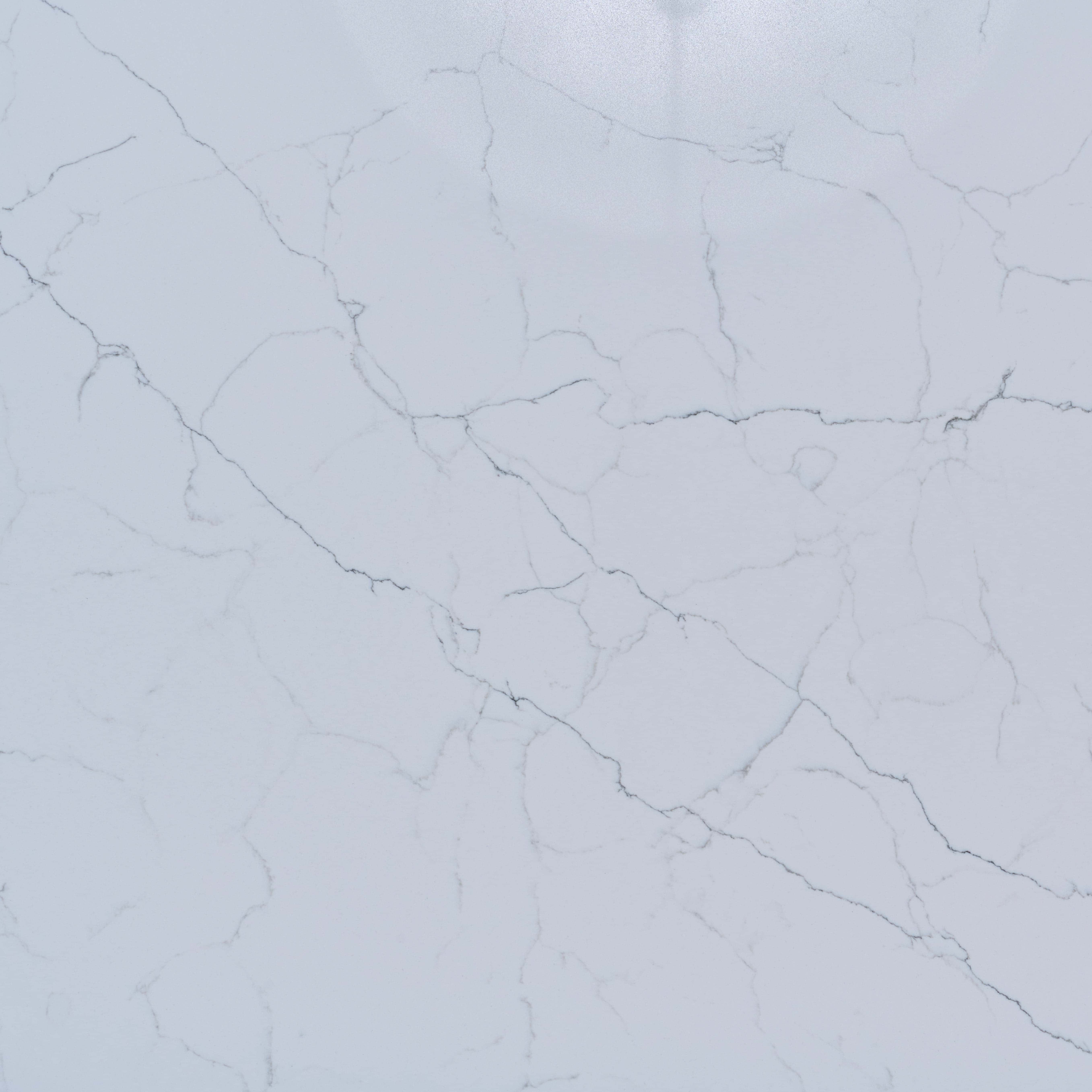 Carrara Michelangelo 20mm and 30mm
